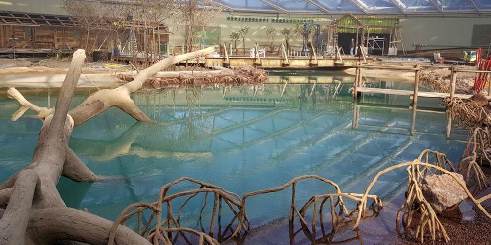 Burgers Zoo mangrove